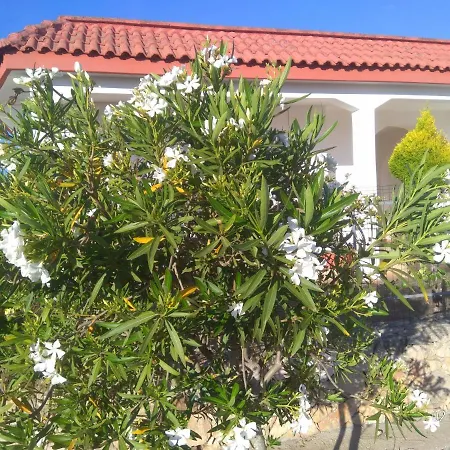 Villino Mediterranea - Tra Ulivi E Mare By My Apulia Holiday home