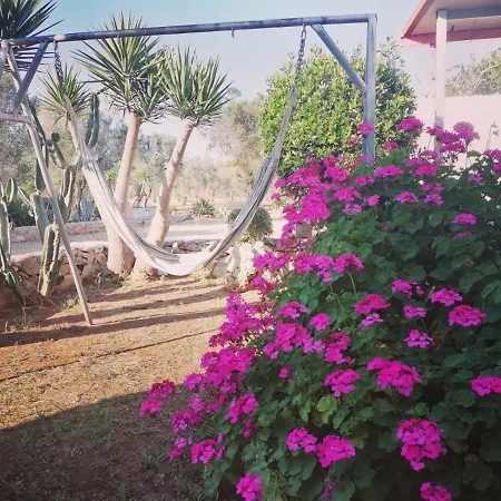 Holiday home Villino Mediterranea - Tra Ulivi E Mare By My Apulia Torre Lapillo
